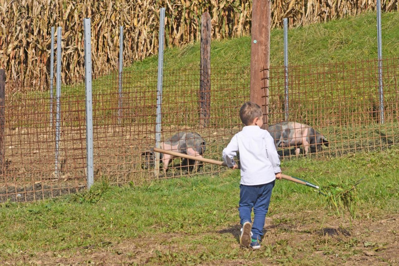 Willa Am Jaukhof Familie Stiendl Neudorf im Sausal Zewnętrze zdjęcie