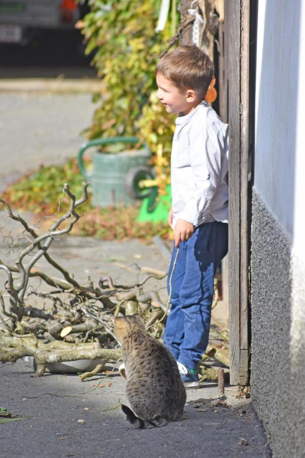 Willa Am Jaukhof Familie Stiendl Neudorf im Sausal Zewnętrze zdjęcie