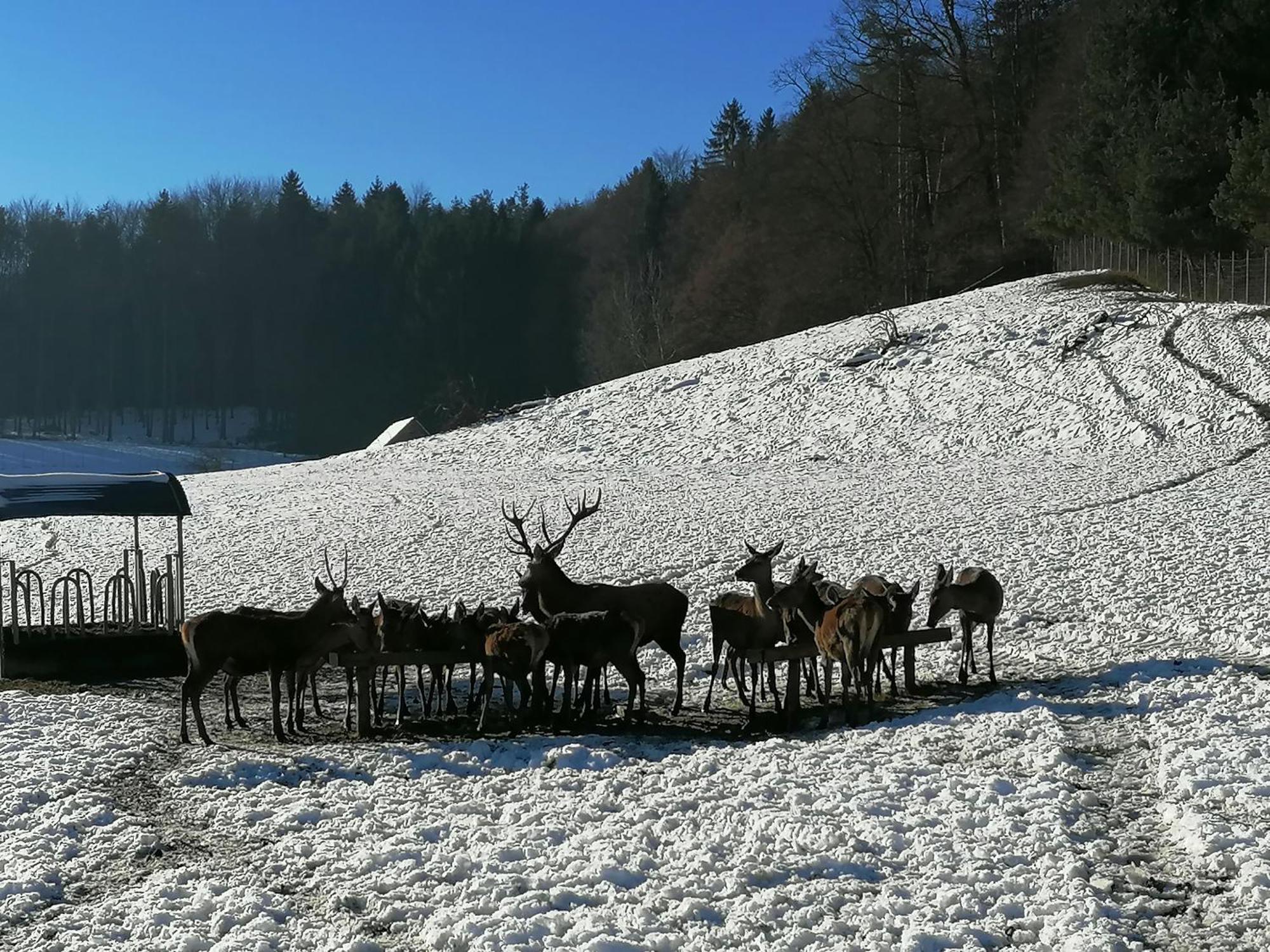 Willa Am Jaukhof Familie Stiendl Neudorf im Sausal Zewnętrze zdjęcie