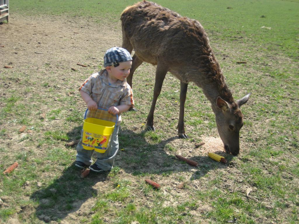 Willa Am Jaukhof Familie Stiendl Neudorf im Sausal Zewnętrze zdjęcie